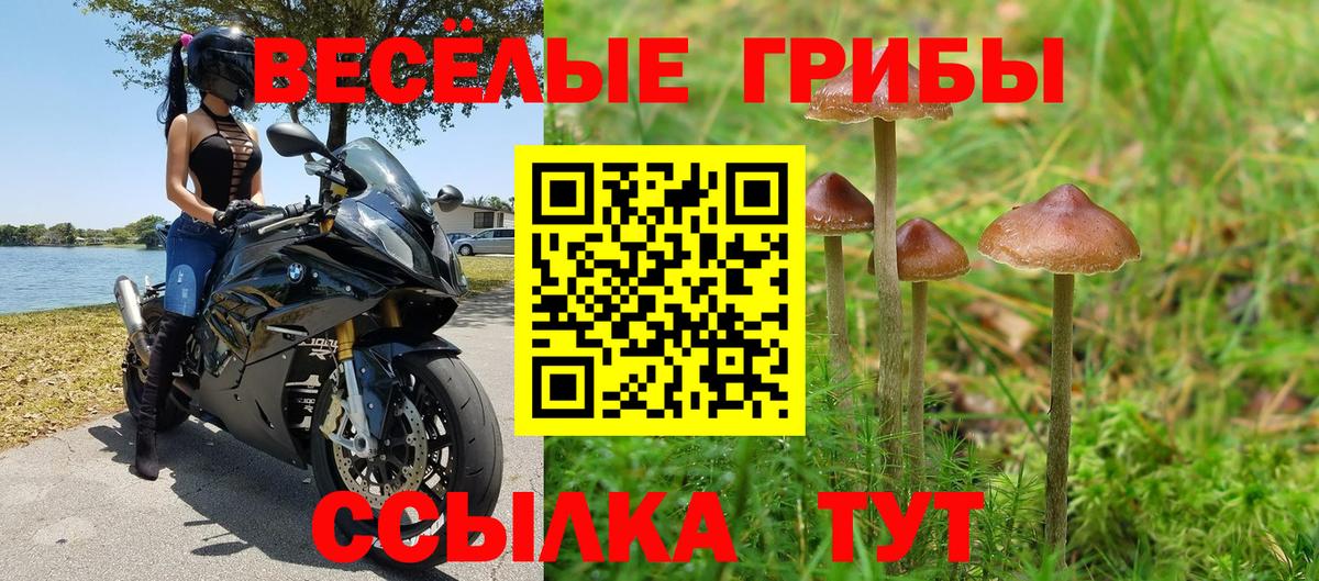 Галлюциногенные грибы ЛСД Губкин