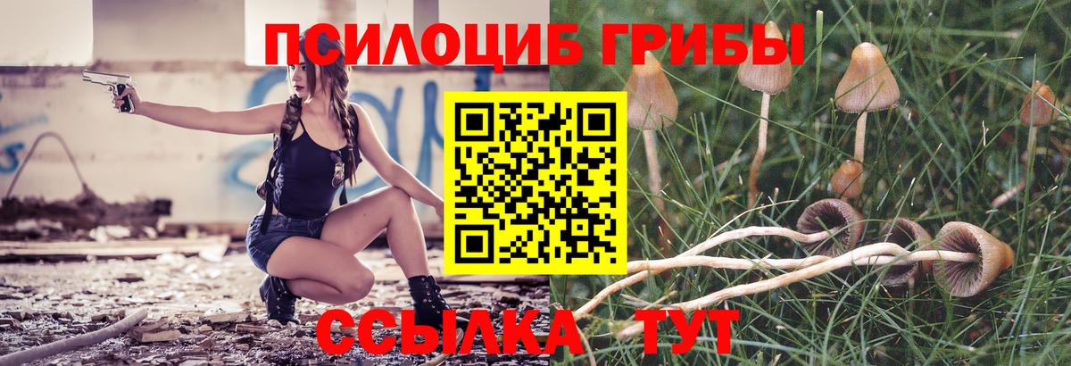 где продают   Вход с VPN  Губкин  Галлюциногенные грибы мицелий 
